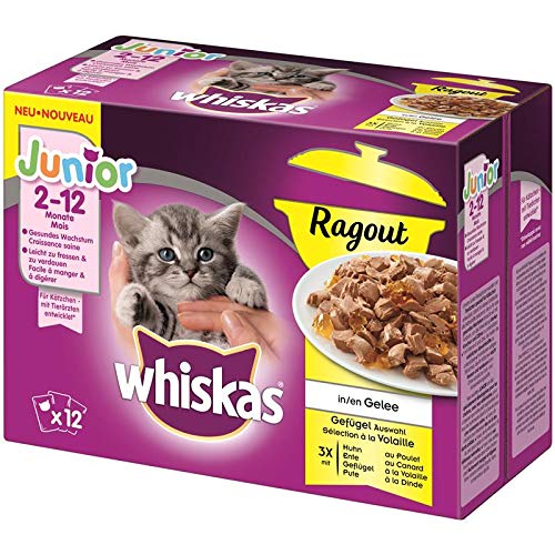 whiskas Multipack Junior Ragout Geflügelauswahl 48x 85g Katzenfutter